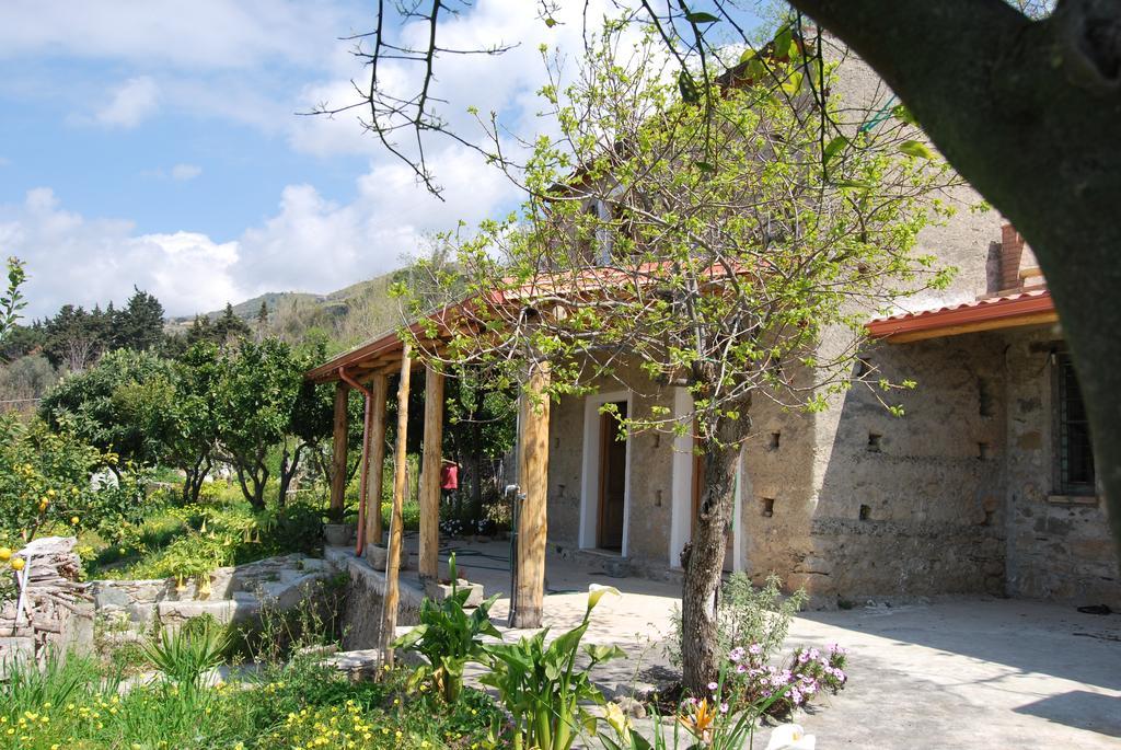 Al Melograno B&B 벨몬테칼라브로 외부 사진